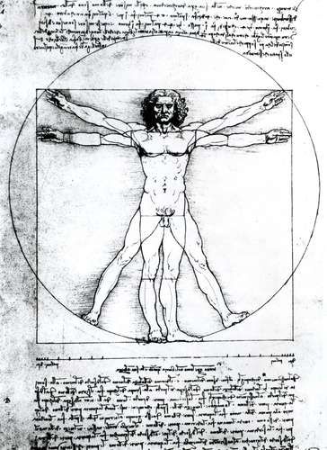 Drawing Book Pdf, Da Vinci Vitruvian Man, Vitruvian Man, Albrecht Durer, Popular Art, Famous Art, Anatomy Art, Human Figure, Figure Drawing