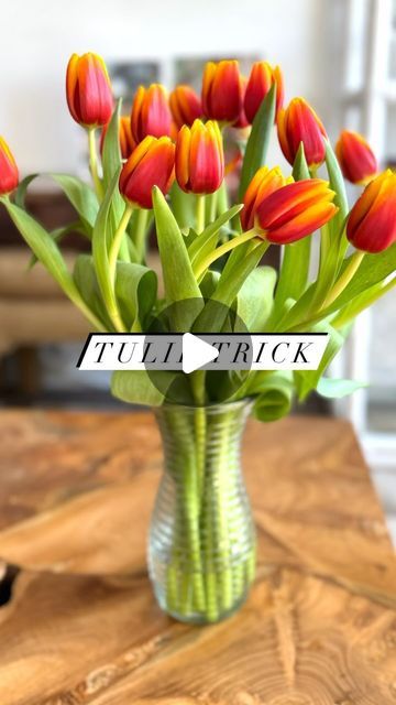 Cut Tulips In Vase, Arranging Tulips In A Vase, How To Arrange Tulips In A Vase, Tulip Bouquet Ideas, Tulip Flower Arrangements Vase, Tulip Centerpiece Simple, Tulip Vase Arrangement, How To Arrange Flowers In A Vase, Tulip Flower Arrangements