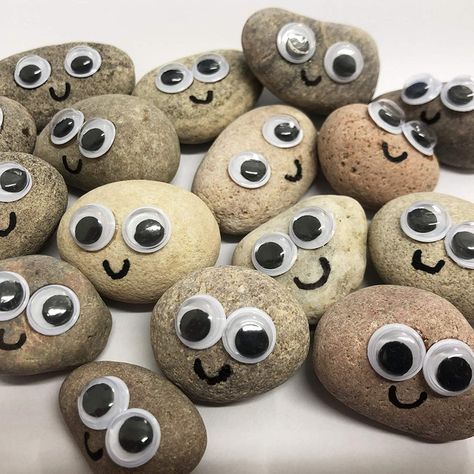 Exercise Block, Pet Rocks Craft, Pet Cloud, Belly Button Cleaning, Pet Ghost, Pet Rock, Sleepover Birthday Parties, Rock Gifts, Animal Crafts For Kids