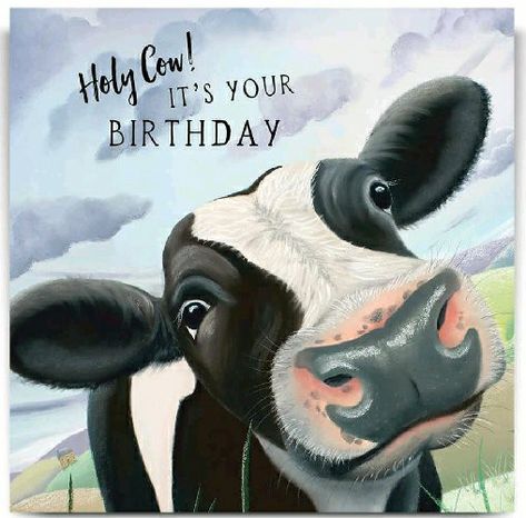 Happy Birthday Cowgirl, Happy Birthday Country, Happy Birthday Cow, Bugs Clipart, Happy Birthday Wishes For A Friend, Happy Birthday Blue, Funny Happy Birthday Wishes, Country Birthday, Birthday Presents For Friends