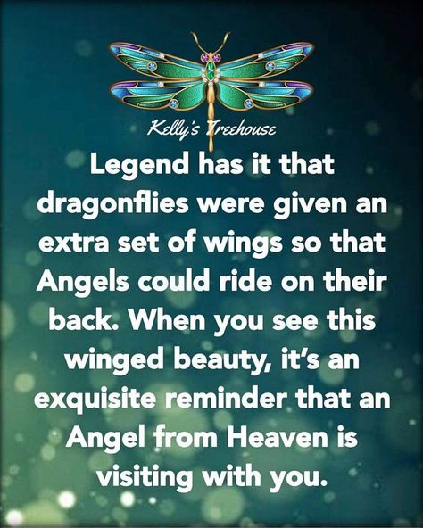 Dragonfly Meaning Spiritual, Dragonfly Quotes, Happy Hippie, Dragonflies, Wise Quotes, Meaningful Quotes, Spiritual Quotes, Wisdom Quotes, True Quotes