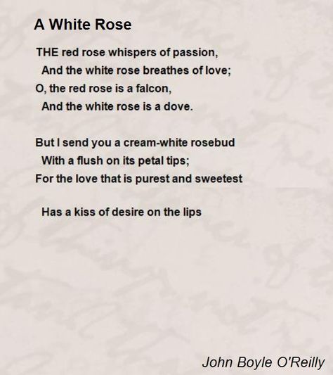 THE red rose whispers of passion, And the white rose breathes of love; O, the red rose is a falcon, Declamation Speech, Famous Poems About Life, Neruda Poems, Rose Love Quotes, Rose Poems, Flower Quotes Love, Flower Quotes Inspirational, Rose Quotes, Romantic Poems