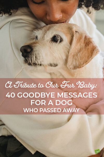 Poems For Dogs That Passed, Dog Quotes Saying Goodbye, Message From Dog In Heaven, Quotes For A Dog That Passed, Rip Pet Quotes Dogs, Quotes For Passed Dogs, Pet Goodbye Quotes, Goodbye To Pets Dogs, Pet Headstone Quotes