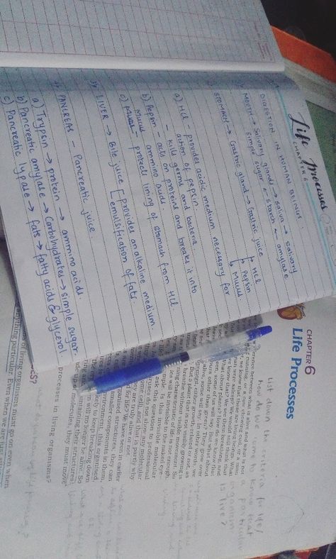 Biology Notes Class 10 Aesthetic, Biology Notes Life Processes, Life Processes Biology Notes Aesthetic, Biology Life Process Notes, Class 10 Handwritten Notes, Class 10 Bio Notes Life Process, Life Processes Biology Notes Class 10, Class 10 Aesthetic Notes, Life Processes Biology Notes Class 10 Aesthetic