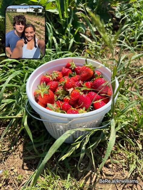 Strawberry Picking Date Aesthetic, Bereal Ideas Boyfriend, Strawberry Picking Date, Couple Bereal Ideas, Fun Friend Dates, Summer Dates With Boyfriend, Cute Summer Date Ideas, Cute Dates Aesthetics, Dream Dates Aesthetic