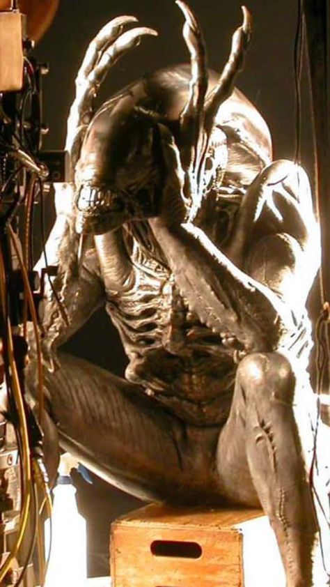 Xenomorph King Art, Nostromo Alien, Xenomorph Types, Alien Queen Xenomorph, Alien Resurrection Xenomorph, Xenomorph Alien Isolation, Aliens Movie, Alien Vs Predator, Alien Vs