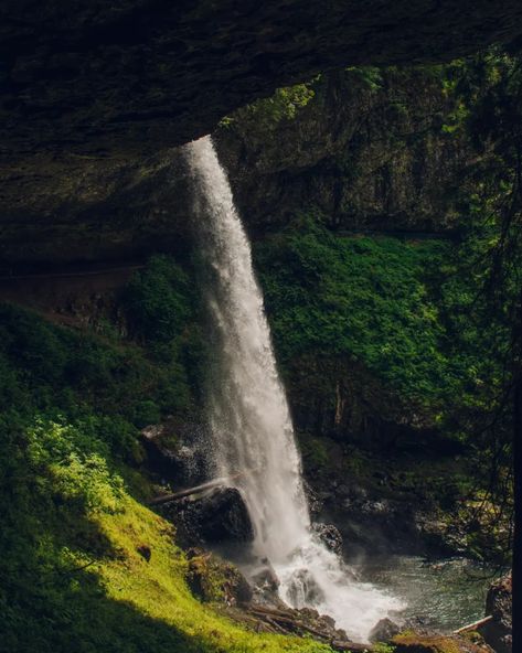 Visit one of the most incredible waterfall hikes in all of Oregon. The Trail of Ten Falls in Silver Falls State Park is a wonderful family-friendly hike that will leave you in awe. This hike is just an hour from Salem and 90 minutes from Portland, so it's the perfect day adventure. Get the complete guide here including when to go, what to pack, and how to get there. Add the wonderful Trail of Ten Falls to your bucket list for your next Oregon trip! Oregon Trip, Silver Falls State Park, Silver Falls, Angels Landing, Waterfall Hikes, Hiking Destinations, Oregon Travel, The Perfect Day, What To Pack