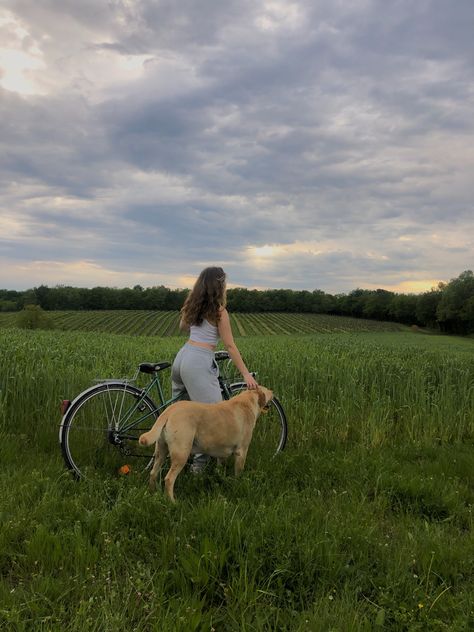 Cotage dog bike Dog Bike, Biking With Dog, Lifestyle Goals, Man And Dog, Gravel Bike, Dog Sitting, Bike Ride, Summer Aesthetic, Dog Breeds