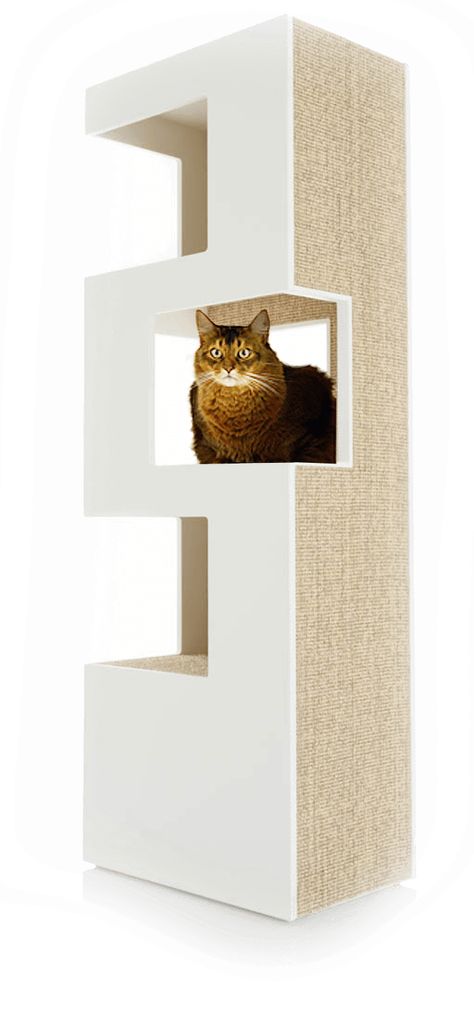 Modern Cat Tower, Katt Diy, Diy Chat, Cat Furniture Design, Diy Cat Tree, Modern Cat Furniture, Modern Cat Tree, Cat Towers, Cat Playground