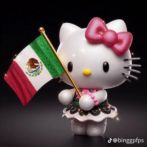 Hello Kitty Holding Flag, Mexican Hello Kitty, Hollow Kitty, Hello Kitty Boy, Hello Kitty Imagenes, Hello Kitty Gifts, Y2k Profile Picture, Beach Icon, Mexican Flag