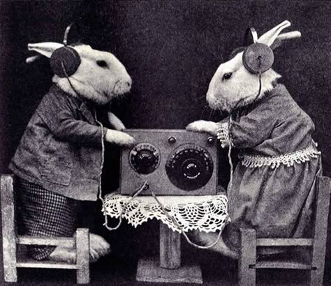 The DJ List Harry Whittier Frees, Animals In Clothes, Radio Vintage, Rabbit Rabbit, White Rabbits, Weird Images, Antique Radio, Vintage Rabbit, Rabbit Art