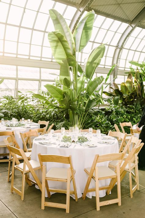 Greenery Event Decor, Plants At Wedding Receptions, Plant Decor Wedding, Romantic Greenhouse, Greenhouse Wedding Reception, Jungle Centerpieces, Romantic Wedding Ideas, Garfield Park Conservatory, Conservatory Wedding