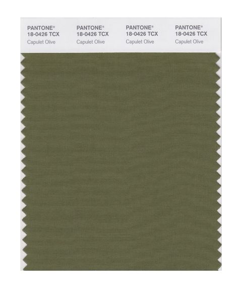 Amazon.com: PANTONE SMART 18-0426X Color Swatch Card, Capulet Olive: Home Improvement Surfers Paradise, Color Swatch, Summer Time, Beautiful Colors, Home Improvement, Color