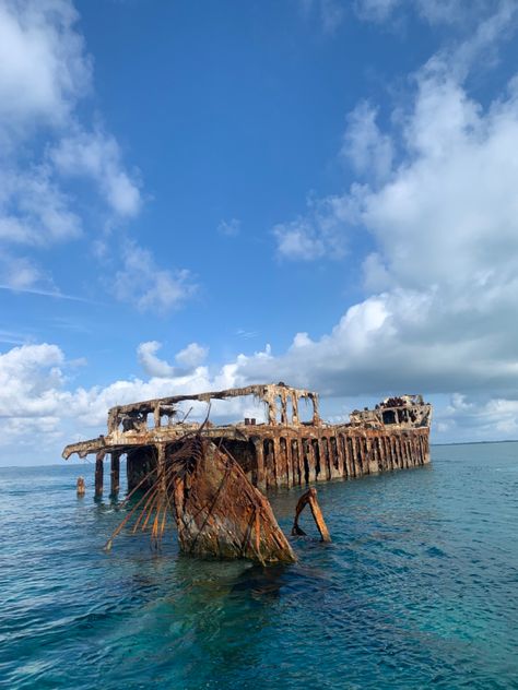 bimini bahamas shipwreck❤️‍🔥😻 Bahamas Cruise Aesthetic, Bimini Bahamas Pictures, Bahamas Bimini, Bimini Bahamas, Bimini Bahamas Aesthetic, Atlantis Bahamas Aesthetic, The Coral Atlantis Bahamas, Shipwreck, Royal Caribbean