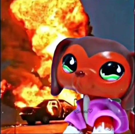 Lps Popular Pfp, Lps Popular Headcanons, Littlest Pet Shop Pfp, Lps Popular Fanart, Lps Memes, Lps Pfp, Lps Aesthetic, Lps Popular, Custom Lps