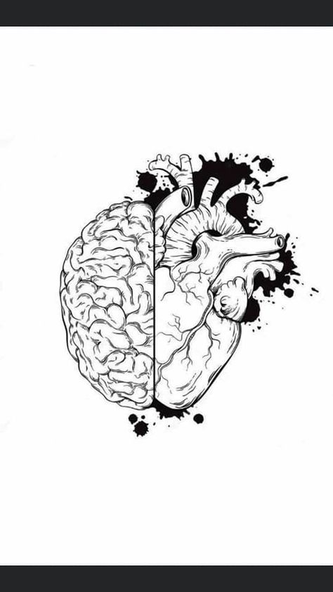 Kunst Tattoos, Brain Art, Pencil Drawings Easy, Medical Art, Human Heart, Art And Illustration, Anatomy Art, Heart Art, Heart Tattoo