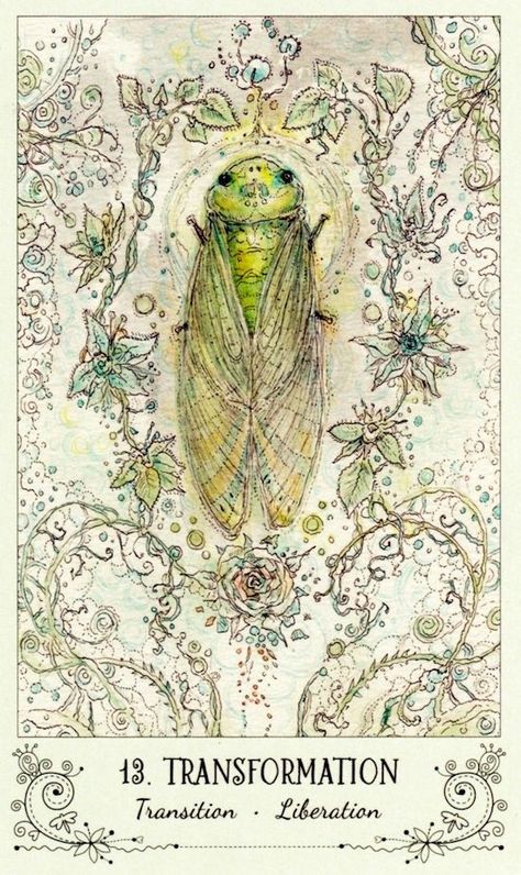 Transformation - Card from Spiritsong Tarot Deck Beautiful Tarot Decks, Tarot By Cecelia, Spirit Song, Tarot Decks Art, All Tarot Cards, Animal Tarot, Symbolic Art, His Dark Materials, Oracle Tarot