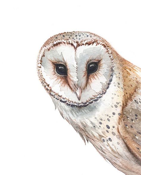 Digital barn owl watercolor print made from my watercolor owl painting. For each print you will get 5 𝐉𝐏𝐆 files 300+ dpi resolution, available for immediate download:   3:4 ratio: Inches : 6x8 | 9x12 | 12x16  4:5 ratio: Inches : 4x5 | 8x10 | 12 x 15  11:14 ratio: Inches :  5x7 | 11x14   ISO ratio (International Standard Size): A5 | A4 | A3    HOW IT WORKS:   -Available as a Printable order only  -As soon as the payment is processed - you can find the files in your ETSY account under you purch Barn Owl Drawing, Barn Owl Painting, Barn Owl Art, Owl Sketch, Watercolor Barns, Blue Bird Art, Raccoon Art, Owl Art Print, Owl Watercolor