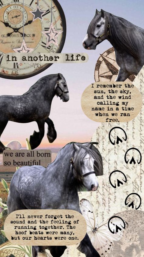 #horse #therian #spirit #free Horse Therian, Black Percheron, Percheron Horse, Therian Wallpaper, Horse Friends, What Animal Are You, Victorian Horse, Percheron Horses, Therian Stuff