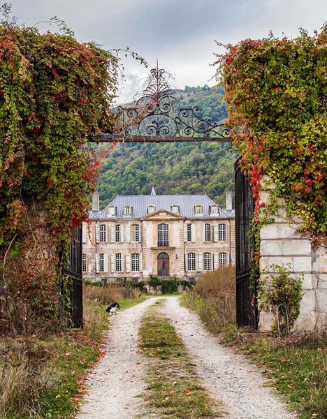 Step Inside: Chateau de Gudanes Chateau Gudanes, French Chateau Homes, Chateau De Gudanes, Escape To The Chateau, Romantic Dream, French Chateau, French Countryside, Interior Styles, Growing Tree