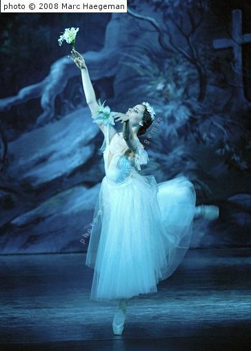 Anastasia Shiladzyan as Myrtha in Act 2 of Moscow City Ballet's Giselle. Photo by Marc Haegeman Ballet Inspiration, Russian Ballet, Ballet Photos, City Ballet, Classical Ballet, Fire Bird, Ballet Photography, Ballet Beautiful, Adventures In Wonderland