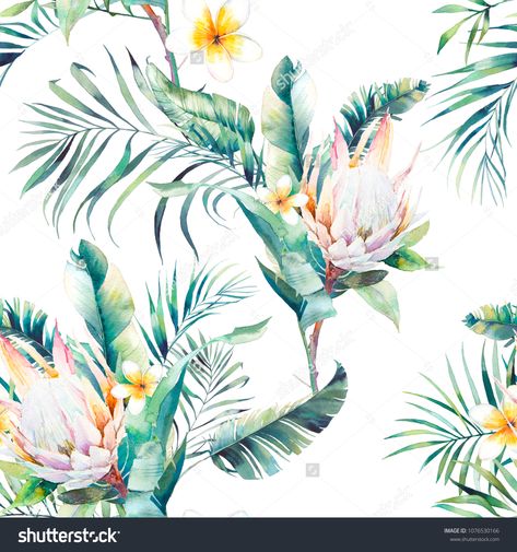 Flower Summer Wallpaper, Tropical Bouquet, Frangipani Flower, Plant Texture, Plants Tropical, Tropical Wallpaper, Plant Wallpaper, Banana Leaves, Green Watercolor