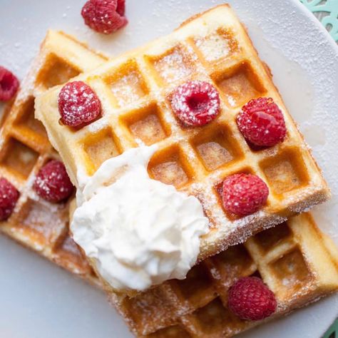 KETO RECIPE: Cream Cheese & Coconut Flour Pancakes & Waffles — Keto In The City Coconut Flour Waffles, Keto Waffles, Coconut Flour Pancakes, Cheese Waffles, Flour Pancakes, Keto Cream, Waffle Cake, Pancake Stack, Low Carb Dessert