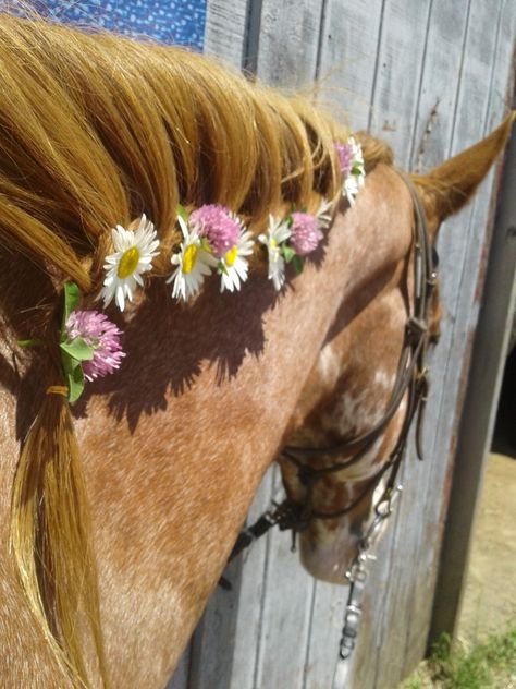 This is just a French braid and I added flowers! French Braids With Flowers, Horse Hairstyles, Horses With Curly Hair, Horse With Braids, French Braid Horse Mane, Horse With Flowers In Hair, Pink Cowgirl Aesthetic, Diamond Face Shape Hairstyles, Horses With Flowers In Hair