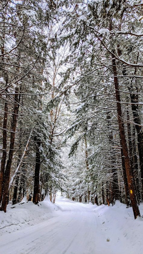 John Blanco on Twitter: "Just enough snow here today in Hopkinton New Hampshire to make the trees look pretty. #StormHour #SnowHour #NewHampshire #snow #NH… https://t.co/sQxCnHAfCU" Winter In New Hampshire, New Hampshire Winter, Nashua New Hampshire, Portsmouth Nh, Our Town, Fantasy House, Sun Sets, Winter Storm, Snow Storm