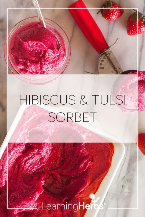 Herbal Ice Cream, Herbal Desserts, Hibiscus Sorbet, Rosella Hibiscus, Tea Sorbet, Hibiscus Recipe, Cookbook Inspiration, Frozen Things, Tea Party Desserts