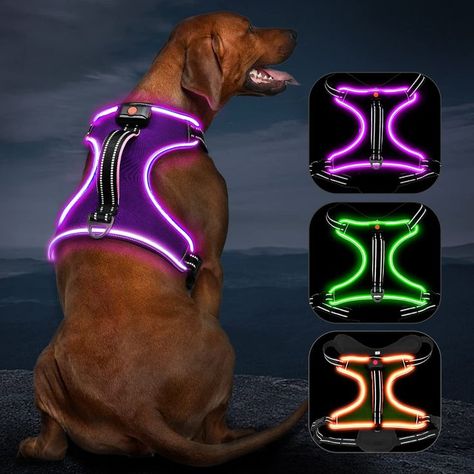 Light Up Dog Harness No Pull LED Dog Harness with Handle Vizbrite Rechargeable Lighted Dog Vest Harness for Small/Medium/Large/X-Large Size Dogs No Pull, 4 Point Adjustable Easy Walk Dog Harness. Padded Dog Harness, Vest Harness, Dog Light, Dog Vest Harness, Rough Collie, Up Dog, Rechargeable Light, Dog Safety, Dog Vest