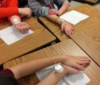 Human Body Unit Study, Heart Science, Human Body Projects, Human Body Science, Human Body Activities, Second Grade Science, 7th Grade Science, Classroom Tips, 4th Grade Science