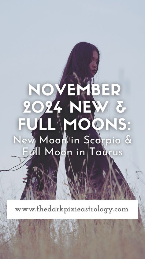 November 2024 New & Full Moons: New Moon in Scorpio & Full Moon in Taurus New Moon In Scorpio 2024, Super Moon 2024, Full Moon In Taurus 2024, November Full Moon 2024, Full Moon 2024, Full Moon Taurus, Taurus Full Moon, Scorpio Full Moon, Full Moon Meaning