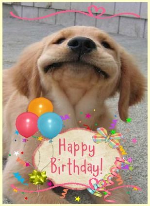 Birthday Wishes With Dogs, Happy Birthday Animals, Birthday Animals, Birthday Sayings, Funny Happy Birthday Wishes, Birthday Greetings Friend, Happy Birthdays, Bday Wishes, Happy Birthday Greetings Friends