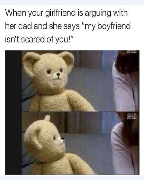 Cheezburger Image 9166426368 Ford Memes, Snuggle Bear, Teddy Bear Day, Funny Relationship Memes, 웃긴 사진, Memes Humor, Relationship Memes, Funny Relationship, Funny Posts