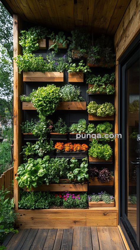 Small Apartment Garden, Vege Garden Ideas, Inside Garden, Small Courtyard Gardens, Courtyard Gardens Design, Home Grown Vegetables, Indoor Vegetable Gardening, Home Gardening, Indoor Herb Garden