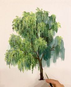 Willow Tree Art, Willow Tree Tattoos, Tree Watercolor Painting, Arte Grunge, Watercolor Tree, Gouache Art, Watercolor Trees, Tree Drawing, Easy Watercolor