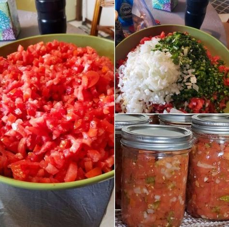 Homemade Canned Pico de Gallo: A Burst of Flavor in Every Bite Canned Pico De Gallo Recipe, Spicy Pickled Onions, Homemade Nacho Cheese Sauce, Abigail Adams, Homemade Nachos, Freezing Apples, Cheesecake In A Jar, Homemade Hamburgers, Oven Canning