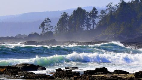 Pacific Rim National Park, Vancouver Island Canada, Canada Vacation, Fall City, Forest And Wildlife, Landscape Quilts, North Vancouver, Alaska Cruise, Pacific Rim