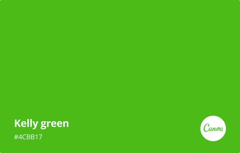 Kelly Green Color Scheme, Colour Meanings, Green Hex Code, High School Project, Irish Landscape, Green Color Schemes, Hex Codes, Color Meanings, Beautiful Goddess