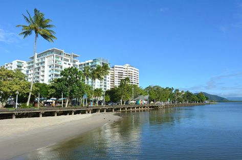 Where to Stay in Cairns: 9 Best Areas Cairns City, Clifton Beach, Daintree Rainforest, Shady Tree, North Queensland, Central Business District, Pack Up, Inner City, This City