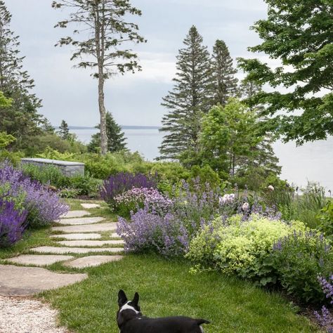 75 Coastal Landscaping Ideas You'll Love - April, 2024 | Houzz Low Maintenance Coastal Landscaping, Coastal Landscape Ideas, Coastal Home Landscaping, Coastal Landscaping Ideas, Coastal Landscaping, Coastal Garden, Front Landscaping, Coastal Gardens, Landscape Designs