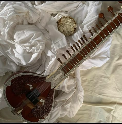 City Of Gods And Monsters, Sitar Instrument, Hindustani Classical Music, Indian Journal, Indian Musical Instruments, Instrument Design, Guitar Books, Indian Classical Music, Desi Love