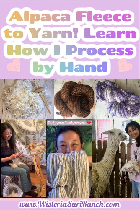 Howdy! I show you my hand processing in step by step videos on my website blog article so you can see most of the process I go through to create beautiful Suri alpaca yarns on my spinning wheel. It's a very rewarding but time consuming process. Enjoy! #handprocessfiber #surialpacafiber #surialpacafleece #alpacayarn Alpaca Fiber Crafts, Alpaca Farming, Wool Processing, Fiber Farm, Homestead Inspiration, Farm Dream, Yarn Spinning, Alpaca Fleece, Farm Craft