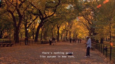 Gilmore Girls Seasons, Nyc Fall, Fall Mood Board, Autumn In New York, Nyc Life, Season Of The Witch, Fall Day, Fall Is Here, Best Seasons