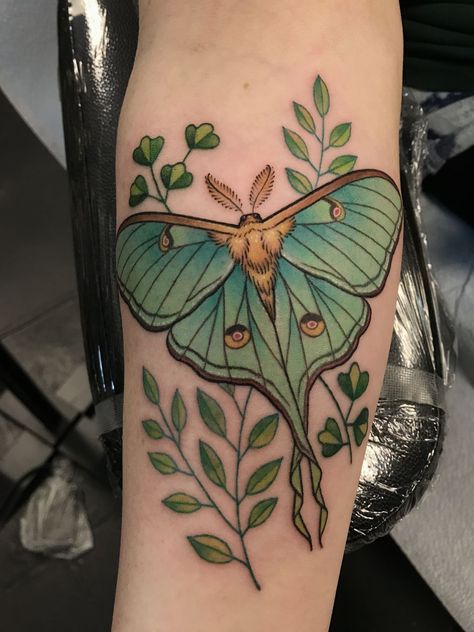 Moth Tattoo Meaning, Luna Moth Tattoo, Moth Tattoo Design, 16 Tattoo, Throat Tattoo, Kunst Tattoos, Omerta Tattoo, Moth Tattoo, Amazing Body