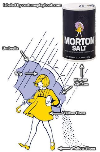 Costume - Morton Salt Girl Morton Salt Girl Costume, Salt Girl Costume, Salt Costume, Morton Salt Girl, Eve Costume, When It Rains It Pours, Morton Salt, Target Halloween, Costume Guide