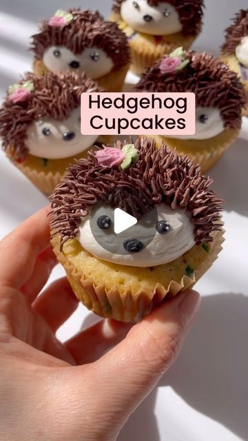 Buttercream Cupcake Designs, Hedgehog Cupcakes, Hedgehog Crafts, Woodland Baby Shower Cupcakes, Woodland Cupcakes, Hedgehog Cupcakes How To Make, Animal Cupcakes Easy, Hedgehog Cupcake, Hedgehog Cookies