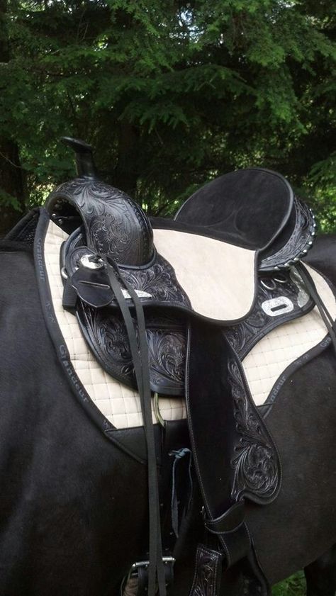 Black Forest Treeless Saddles: Rosewood (in black) Black Western Saddle, Vanner Horse, Treeless Saddle, Book Outfits, Sports Skills, Barrel Racing Saddles, Wattpad Book, Horse Things, Western Tack