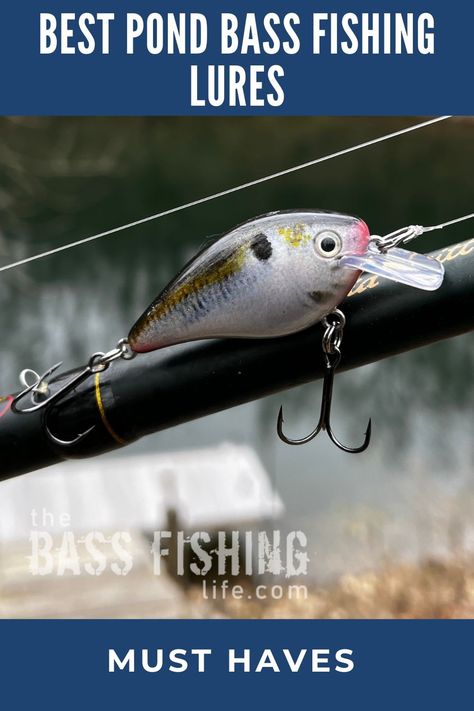 These are some excellent bass fishing lures for ponds. And the best part is, they are very snag-free! #bassfishing #pondfishing #fishing #largemouthbass #bassfishingtips Best Bass Lures, Fishing Hats For Men, Man Store, Fish Types, Largemouth Bass Fishing, Bass Fishing Lures, Bass Lures, Bass Fishing Tips, Largemouth Bass